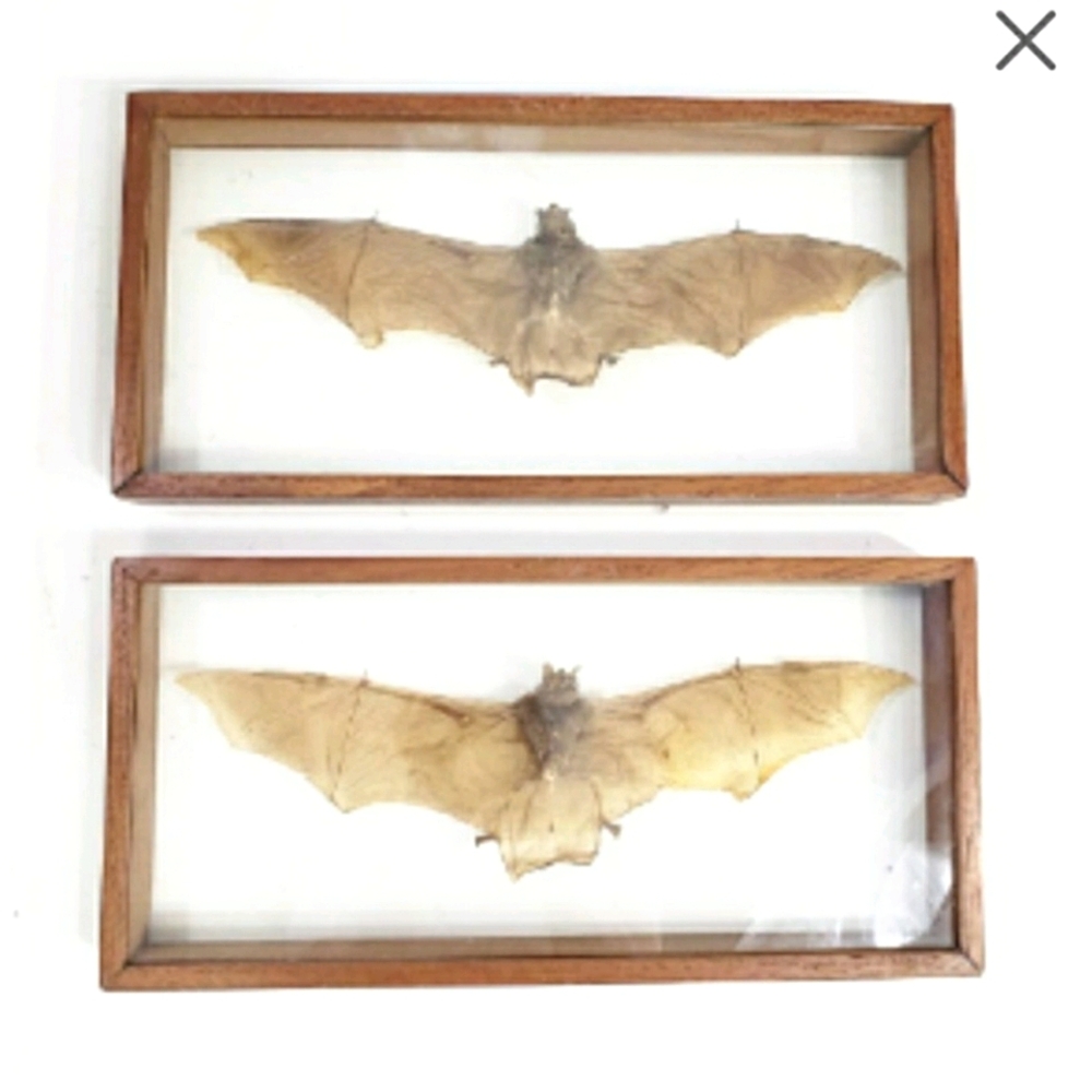 Etsy only